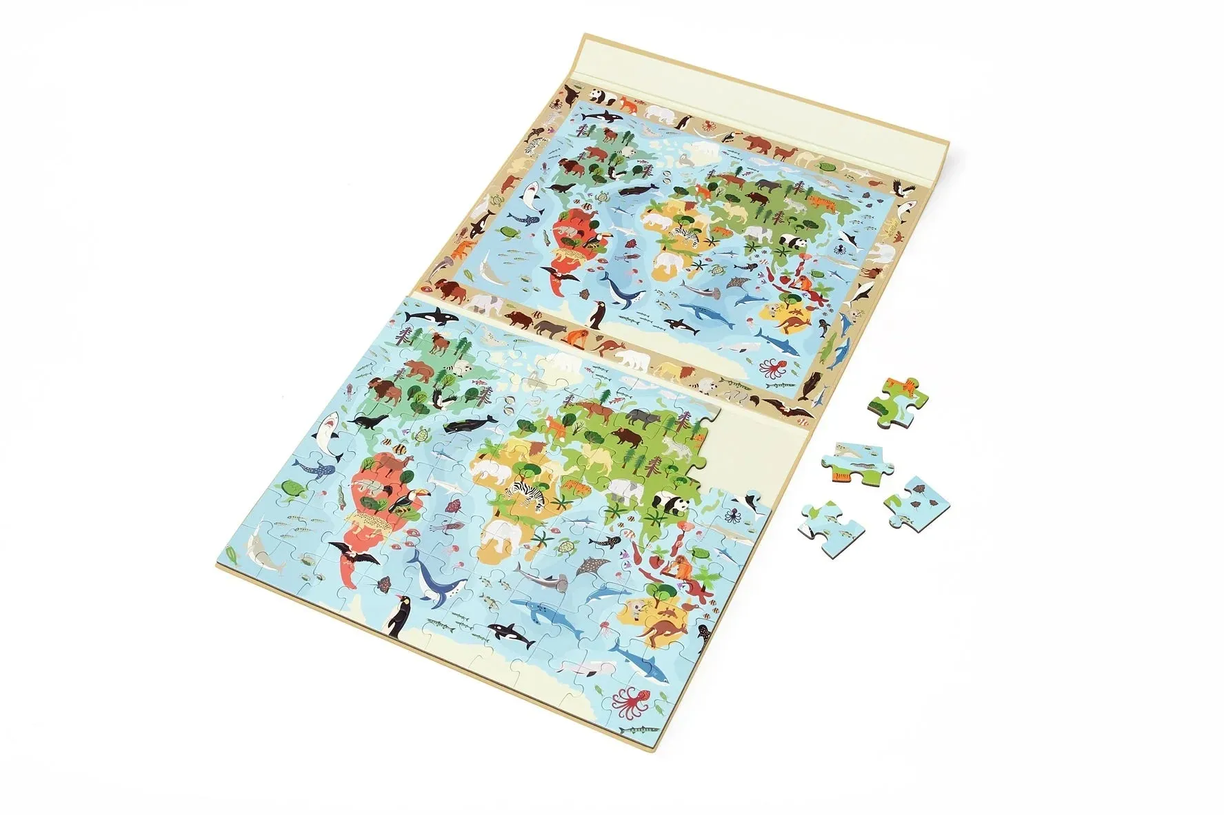 Magnetic Discovery Puzzle, World